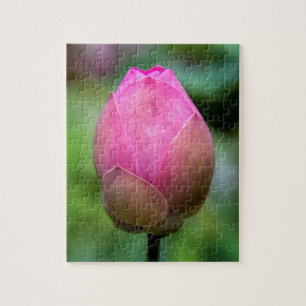 Puzzle Gros plan sur un bouton de fleur de lotus, Bali