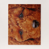 Puzzle Gros plan sur un chiot de caniche rouge (Vertical)