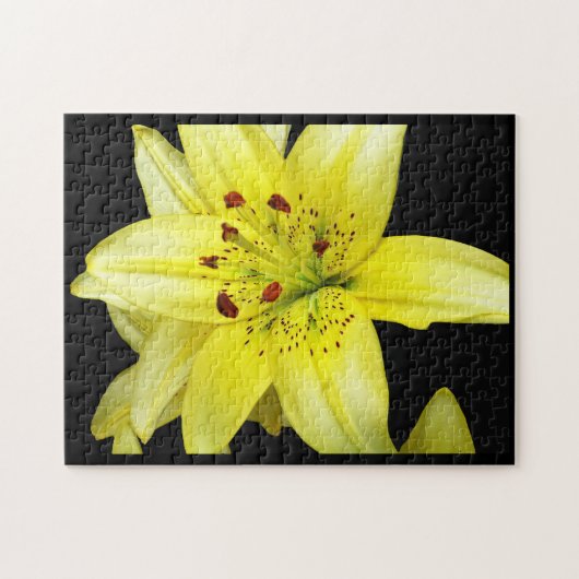 Puzzle Gros plan sur un lys jaune (Horizontal)