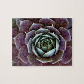 Puzzle Gros plan sur une succulente violette (Horizontal)