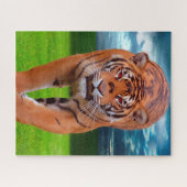 Puzzle Gros Tigers. (Horizontal)