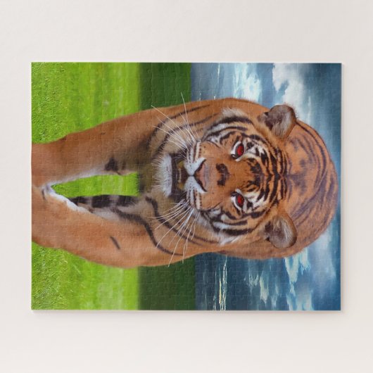 Puzzle Gros Tigers. (Horizontal)