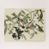 Puzzle Grosbeak à poitrine rose, Oiseaux d'Amérique d'Aud (Horizontal)