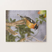 Puzzle Grosbeak à tête noire à la branche (Horizontal)
