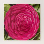 Puzzle Grosse Fleur De Camellia, Rose Fuchsia (Horizontal)