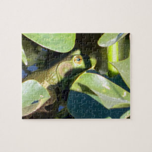 Puzzle Grosse grenouille-taureau