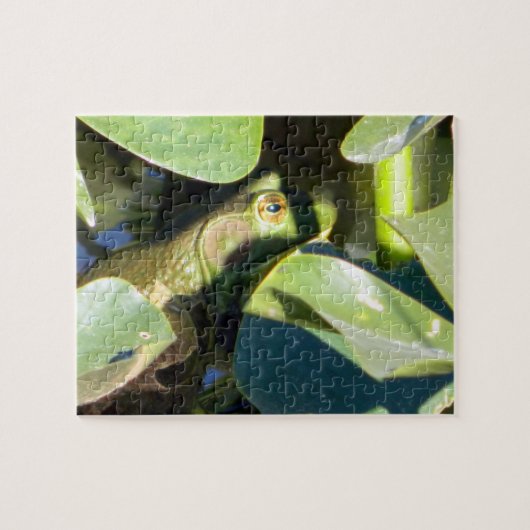 Puzzle Grosse grenouille-taureau (Horizontal)