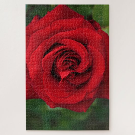 Puzzle Grosse Rose simple presque (Vertical)