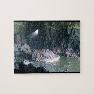 Puzzle Grotte de lion de mer, OU