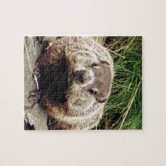 Puzzle Groundhog (Horizontal)