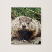 Puzzle Groundhog (Vertical)