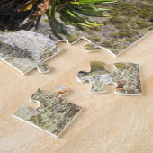 Puzzle Groundsel Ou Dendrosenecio (Côté)