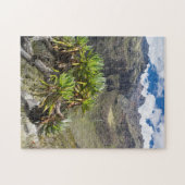 Puzzle Groundsel Ou Dendrosenecio (Horizontal)