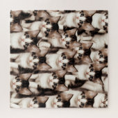 Puzzle Groupe de chatons mignons (Horizontal)