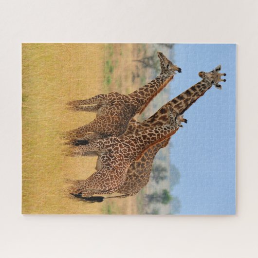 Puzzle Groupe de Giraffes dans le Parc national du Sereng (Horizontal)