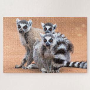 Puzzle Groupe de lémuriens à cordon