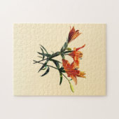 Puzzle Groupe de Lilies orange (Horizontal)