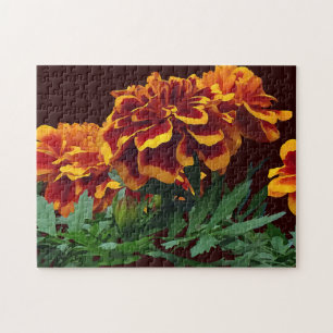 Puzzle Groupe de Marigolds orange avec pourboires jaunes