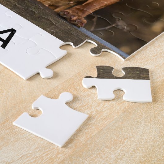 Puzzle groupe de vizsla (Côté)