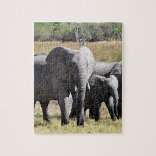 Puzzle Groupe d'éléphants africains devant le trou d'eau