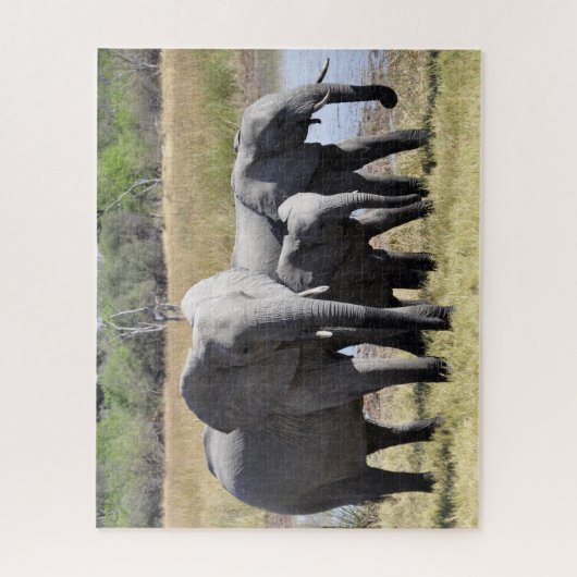 Puzzle Groupe d'éléphants africains devant le trou d'eau (Vertical)