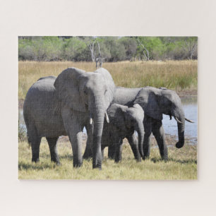 Puzzle Groupe d'éléphants africains devant le trou d'eau