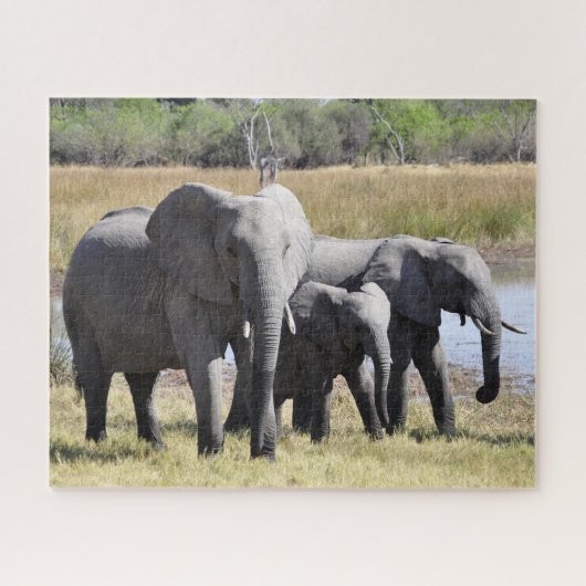 Puzzle Groupe d'éléphants africains devant le trou d'eau (Horizontal)