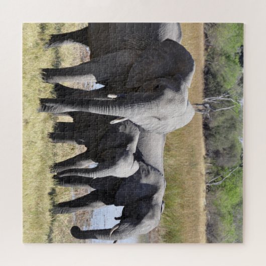 Puzzle Groupe d'éléphants africains devant le trou d'eau (Horizontal)