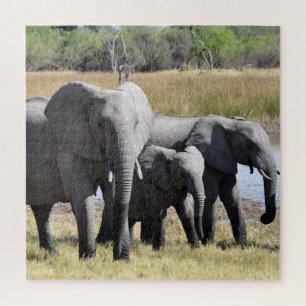 Puzzle Groupe d'éléphants africains devant le trou d'eau