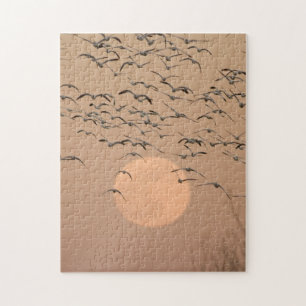 Puzzle Groupe d'oies des neiges migratrices