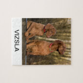 Puzzle groupe vizsla (Horizontal)