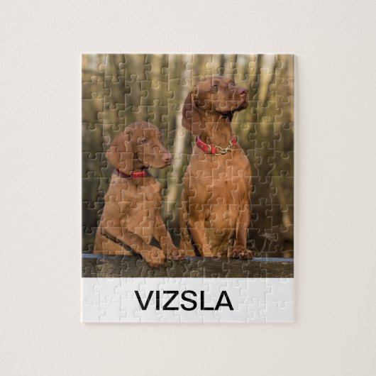 Puzzle groupe vizsla (Vertical)