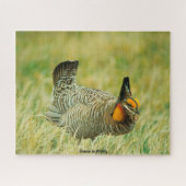 Puzzle Groupement en masquage (Horizontal)