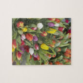 Puzzle Groupes de tulipes colorées (Horizontal)