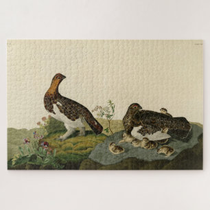 Puzzle Grous de saule (Grouse) - Oiseaux d'Amérique d'Aud