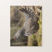 Puzzle Grouse fière (Vertical)