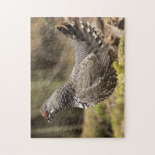 Puzzle Grouse fière (Vertical)