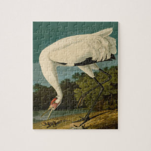 Puzzle Grue blanche Audubon Peinture d'oiseaux