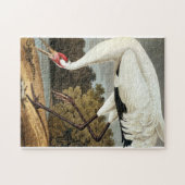 Puzzle Grue blanche par John James Audubon (Horizontal)
