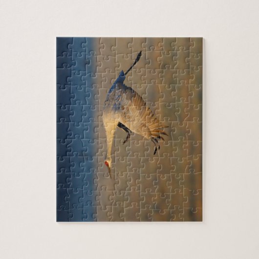 Puzzle grue de sandhill (Vertical)