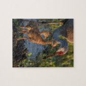Puzzle Grue de Sandhill avec poussins, Floride (Horizontal)
