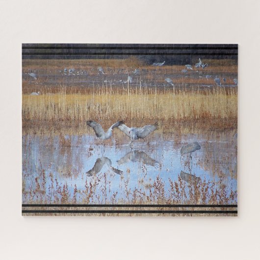 Puzzle Grue de Sandhill Oiseaux Faune Animal Jigsaw Puzzl (Horizontal)