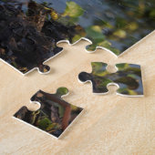 Puzzle Grue du Canada avec poussins, Floride (Côté)
