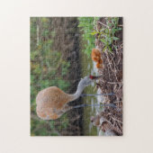 Puzzle Grue du Grand Sandhill Père et enfant (Vertical)