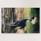 Puzzle Grue royale oiseau (Horizontal)