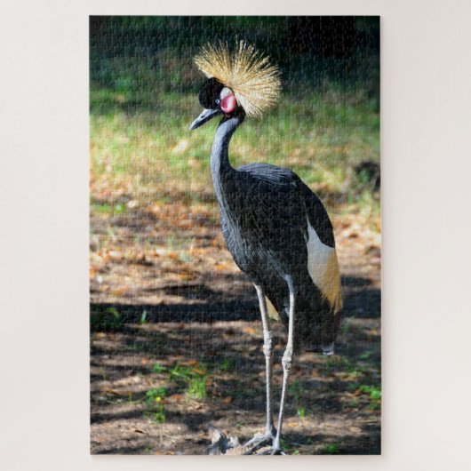 Puzzle Grue royale oiseau (Vertical)