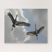 PUZZLE GRUES DE SANDHILL (Horizontal)