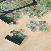 Puzzle Grues Sandhill en Floride en champ vert photo (Côté)