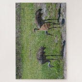 Puzzle Grues Sandhill en Floride en champ vert photo (Vertical)