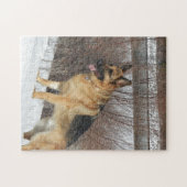 Puzzle GSD dans la neige d'hiver (Horizontal)